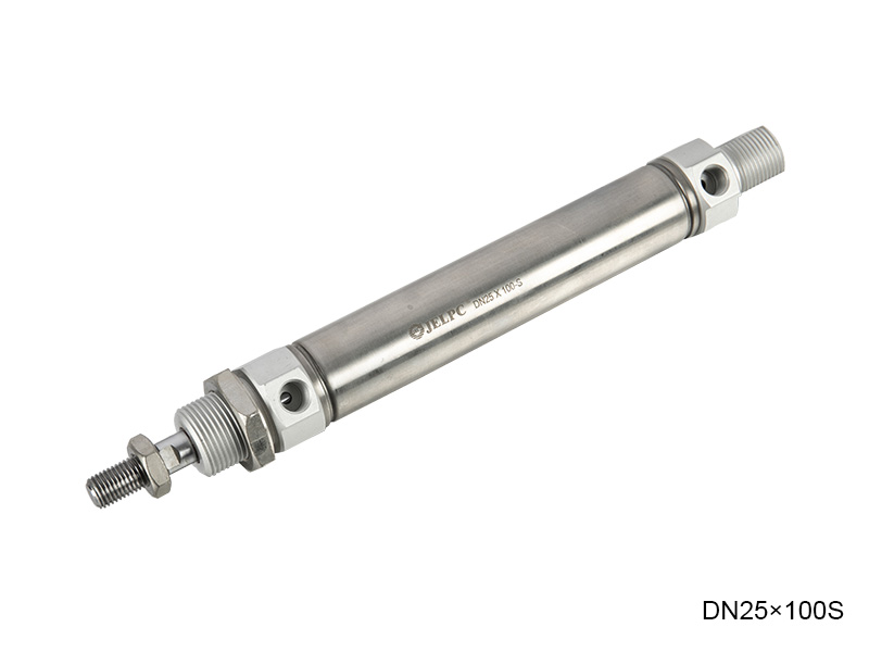 DN -Serie Edelstahl -Mini -Zylinder (IS06432 Standard)